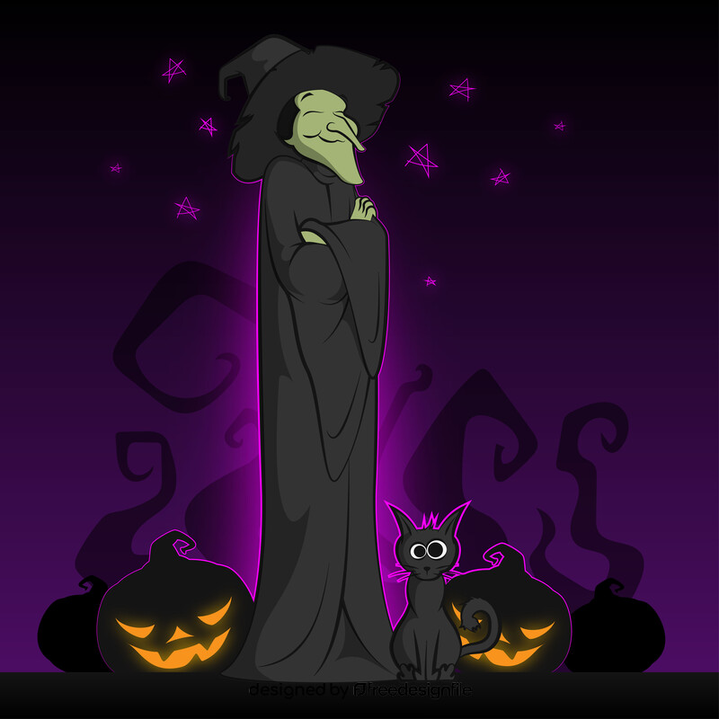 Witch and black cat vector