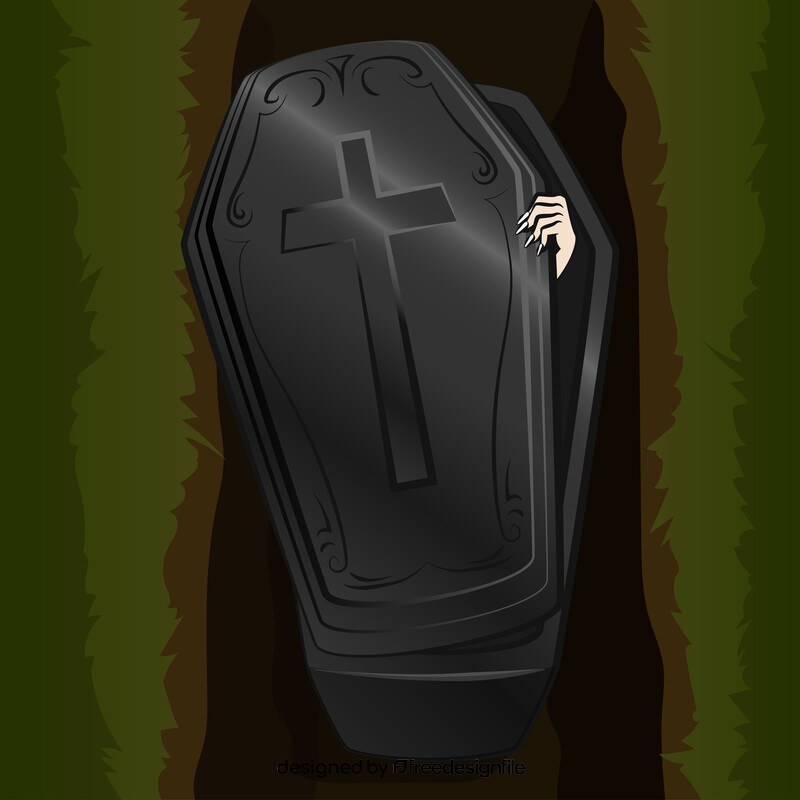 Vampire coffin vector
