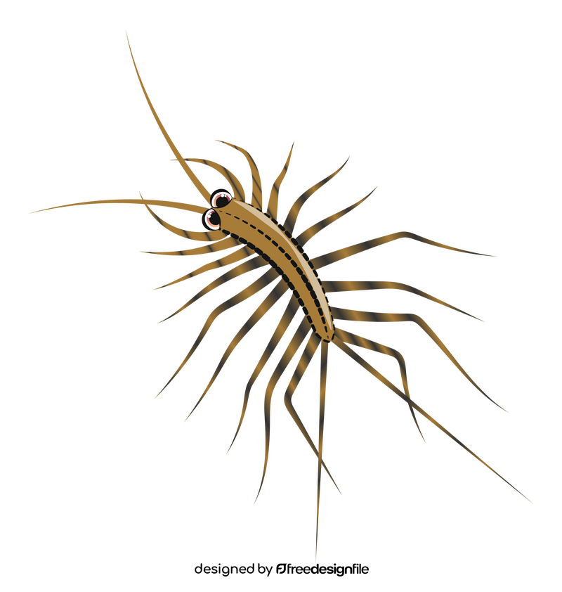 House centipede cartoon clipart