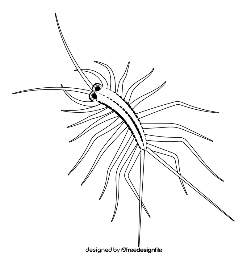House centipede cartoon drawing black and white clipart