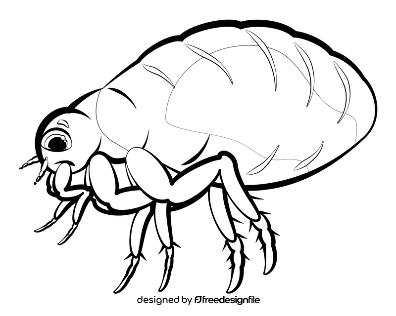 Flea cartoon drawing black and white clipart