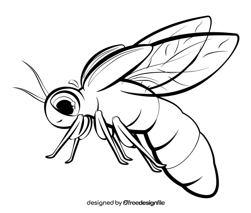 Firefly cartoon drawing black and white clipart