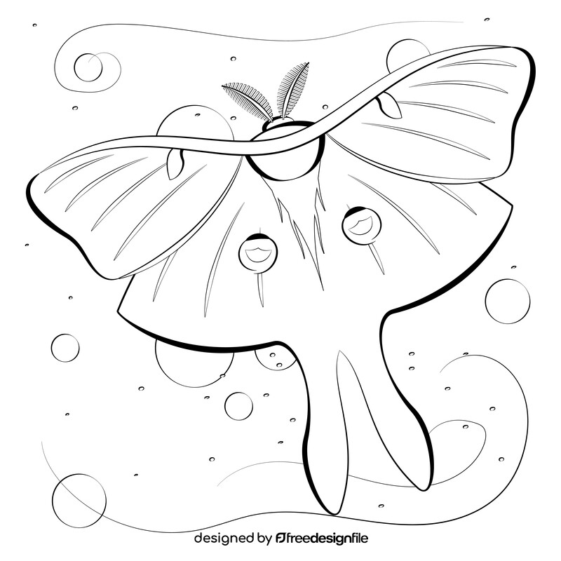 Luna moth cartoon black and white vector