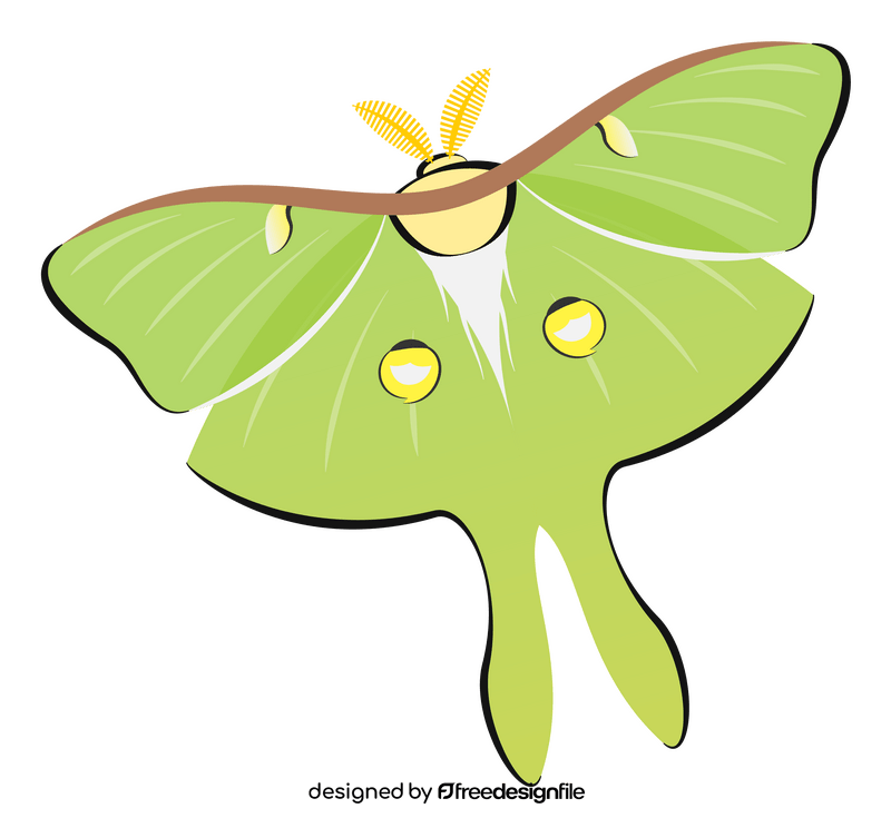 Luna moth cartoon clipart
