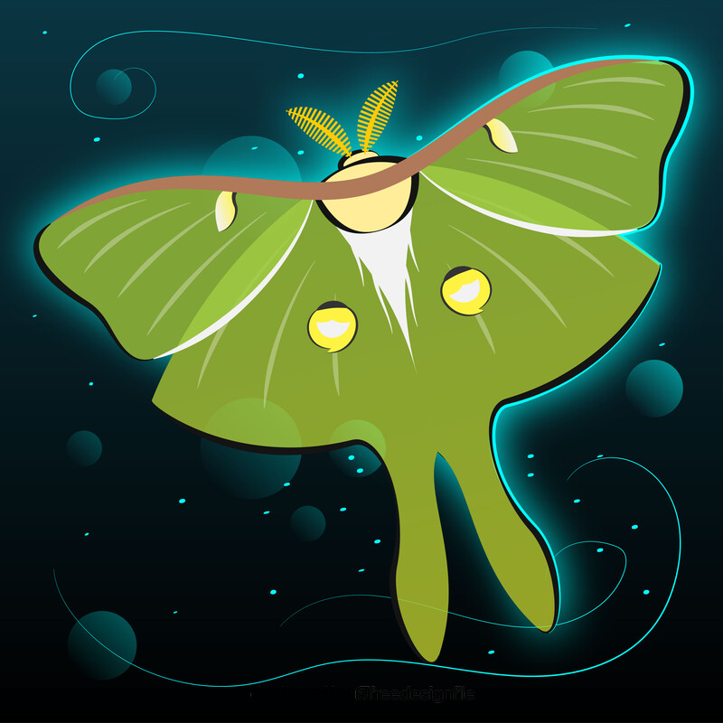Luna moth cartoon vector