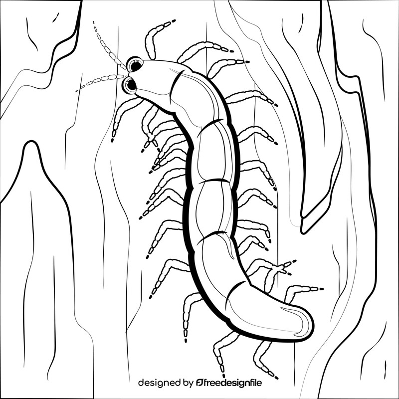 Centipede cartoon black and white vector