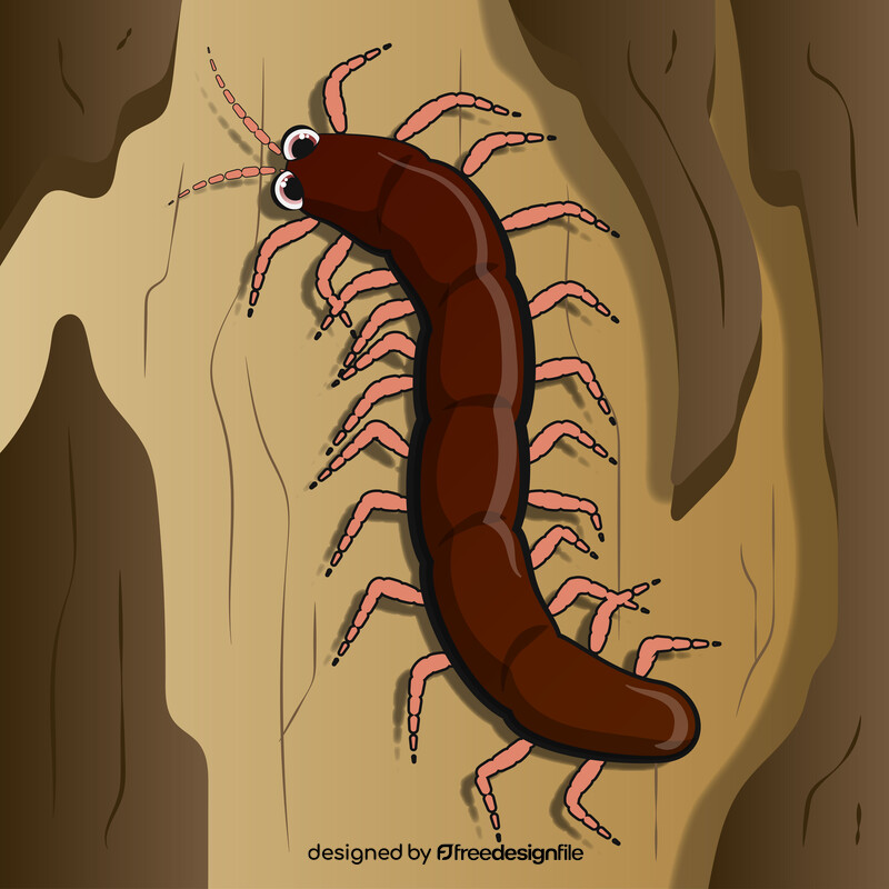 Centipede cartoon vector