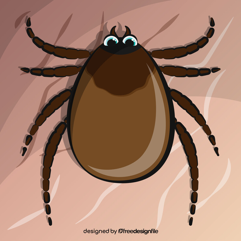 Tick bug insect cartoon vector