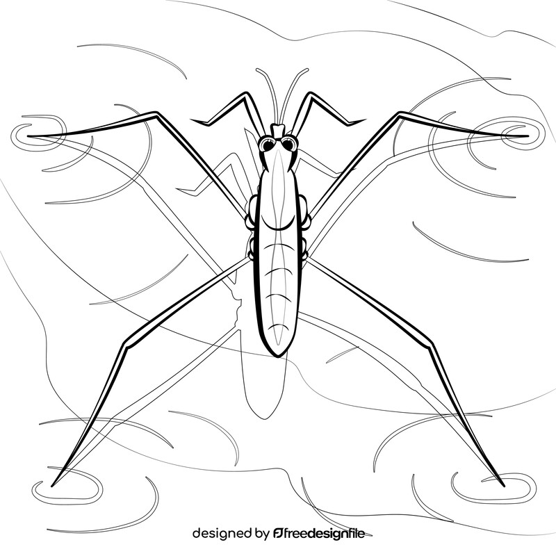 Water strider cartoon black and white vector