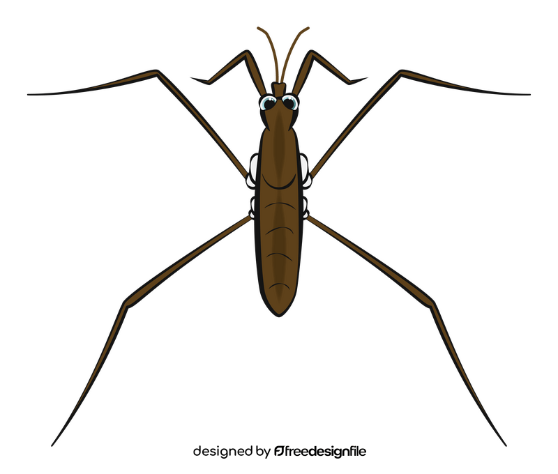 Water strider cartoon clipart