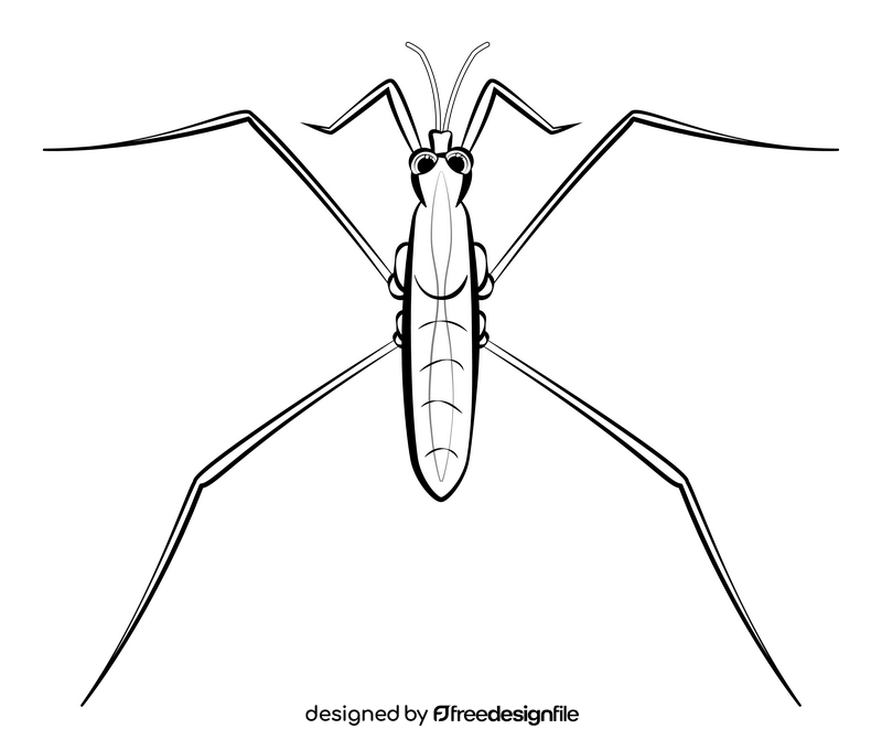 Water strider cartoon drawing black and white clipart