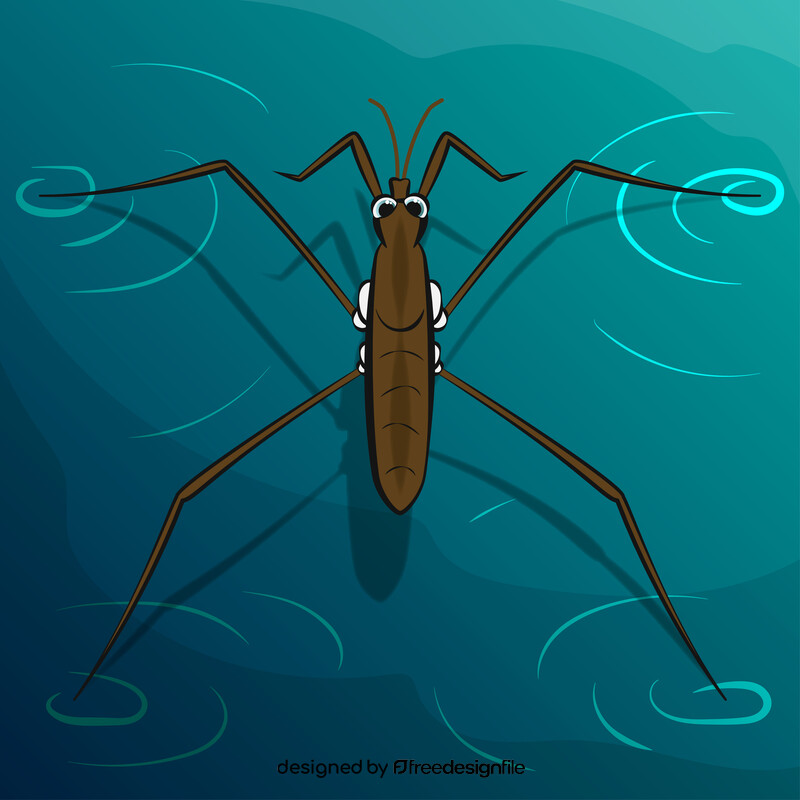 Water strider cartoon vector