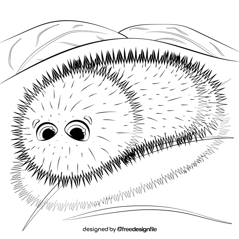 Woolly bear caterpillar cartoon black and white vector