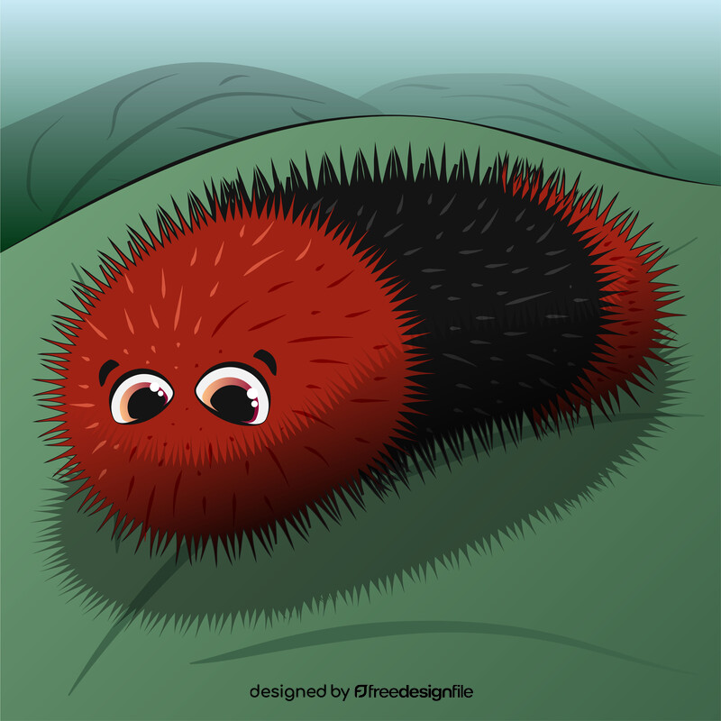 Woolly bear caterpillar cartoon vector