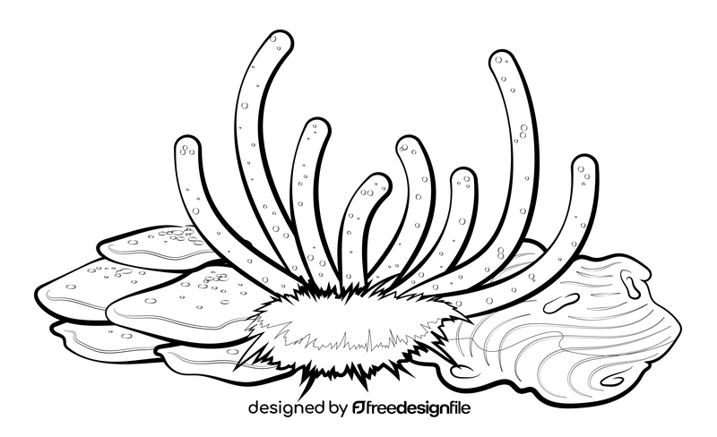 Coral reef drawing black and white clipart
