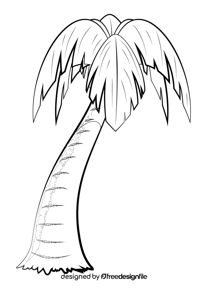 Palm tree drawing black and white clipart