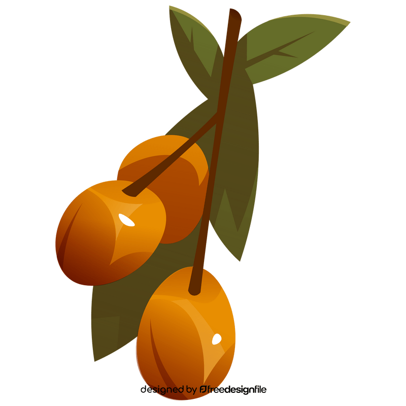 Apricot branch clipart