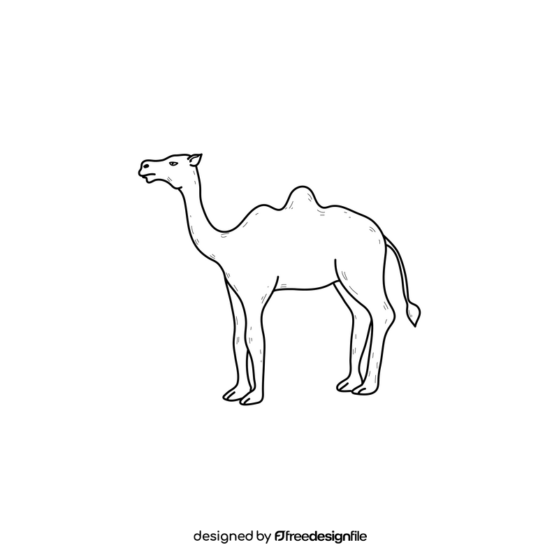 Camel drawing black and white clipart