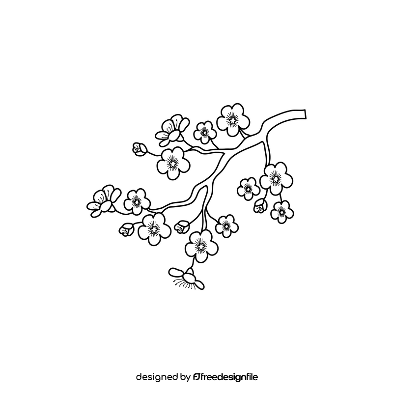 Cherry blossom drawing black and white clipart