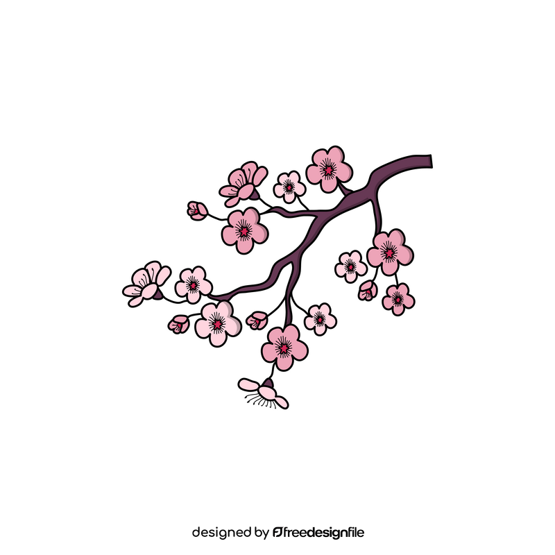Cherry blossom drawing clipart