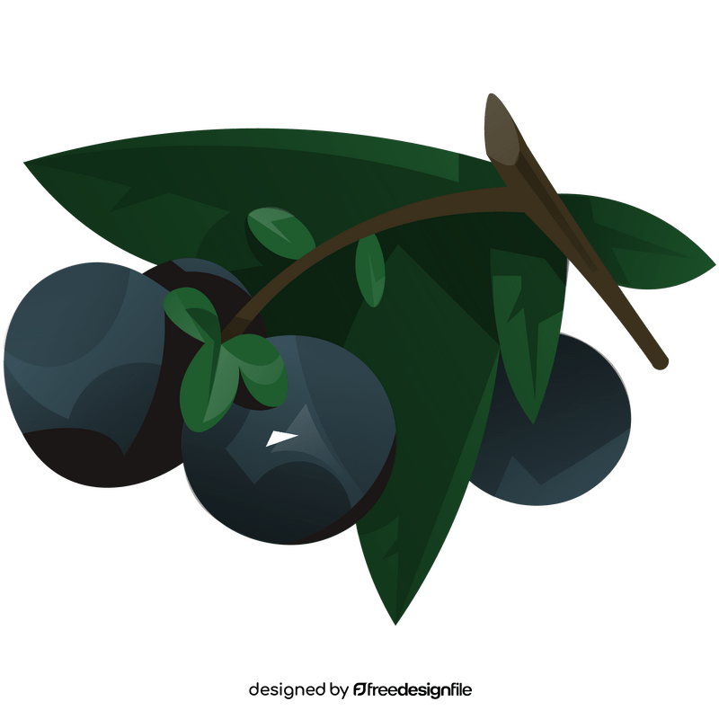 Blueberry branch clipart
