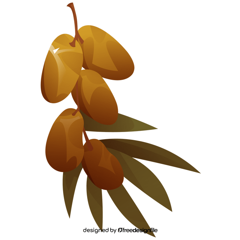 Dates branch clipart