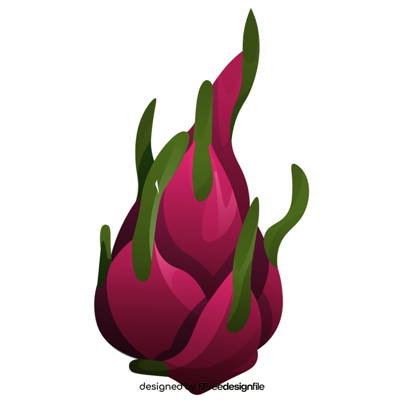 Dragon fruit, pitaya clipart