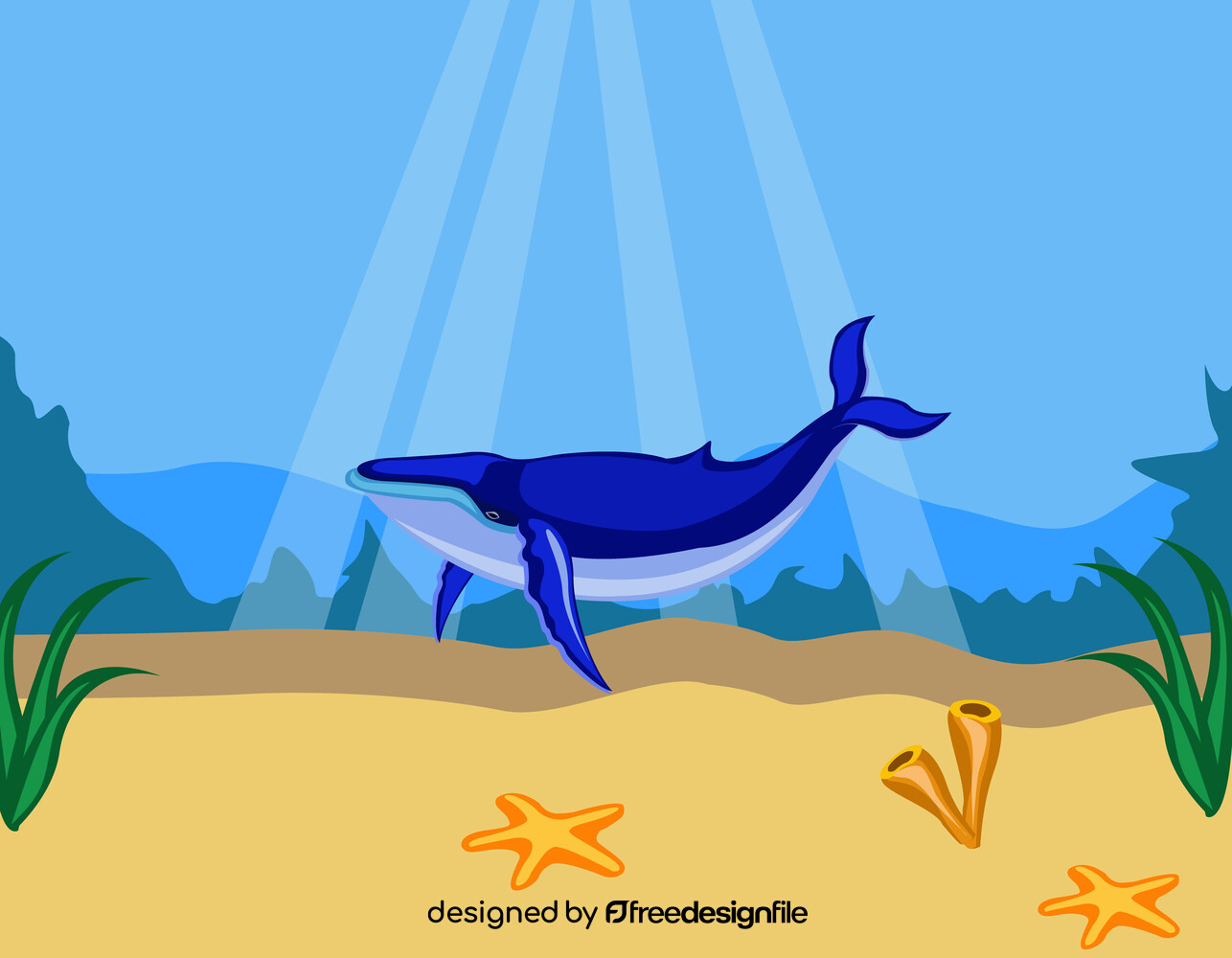 Whale vector image