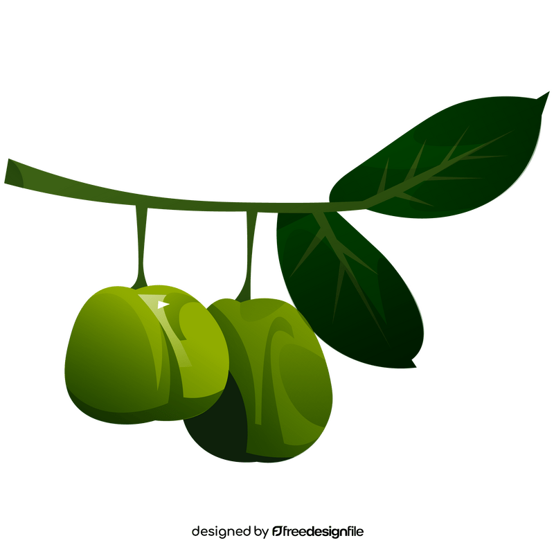 Guava branch clipart