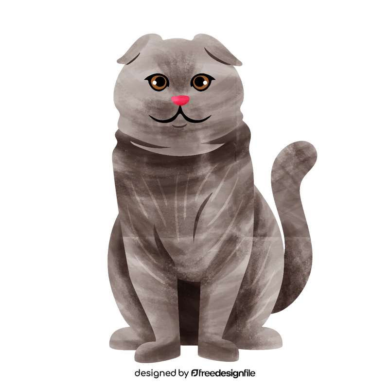 Scottish fold cat clipart