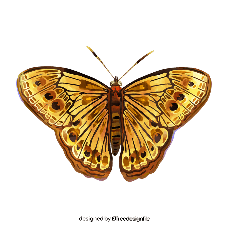 Northern pearly eye butterfly clipart
