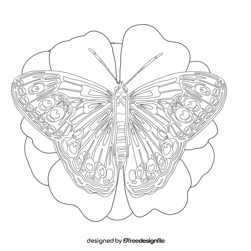 Northern pearly eye butterfly drawing black and white clipart