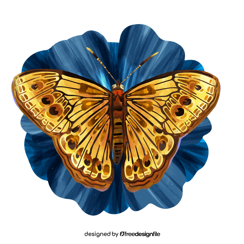 Northern pearly eye butterfly vector