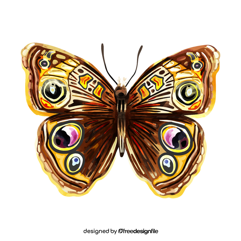 Buckeye butterfly clipart