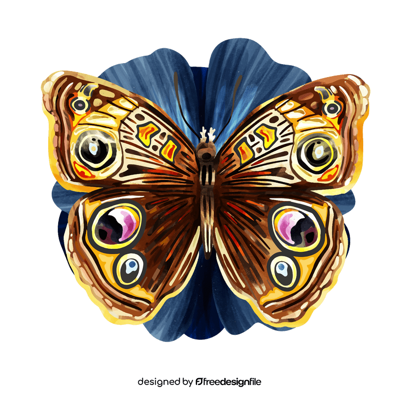 Buckeye butterfly vector
