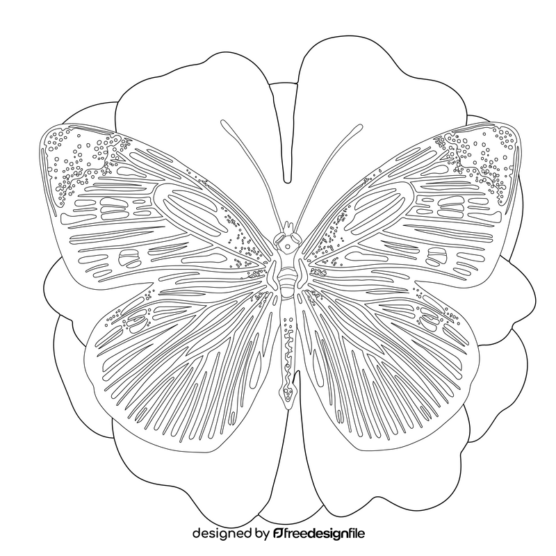 Cabbage white butterfly drawing black and white clipart