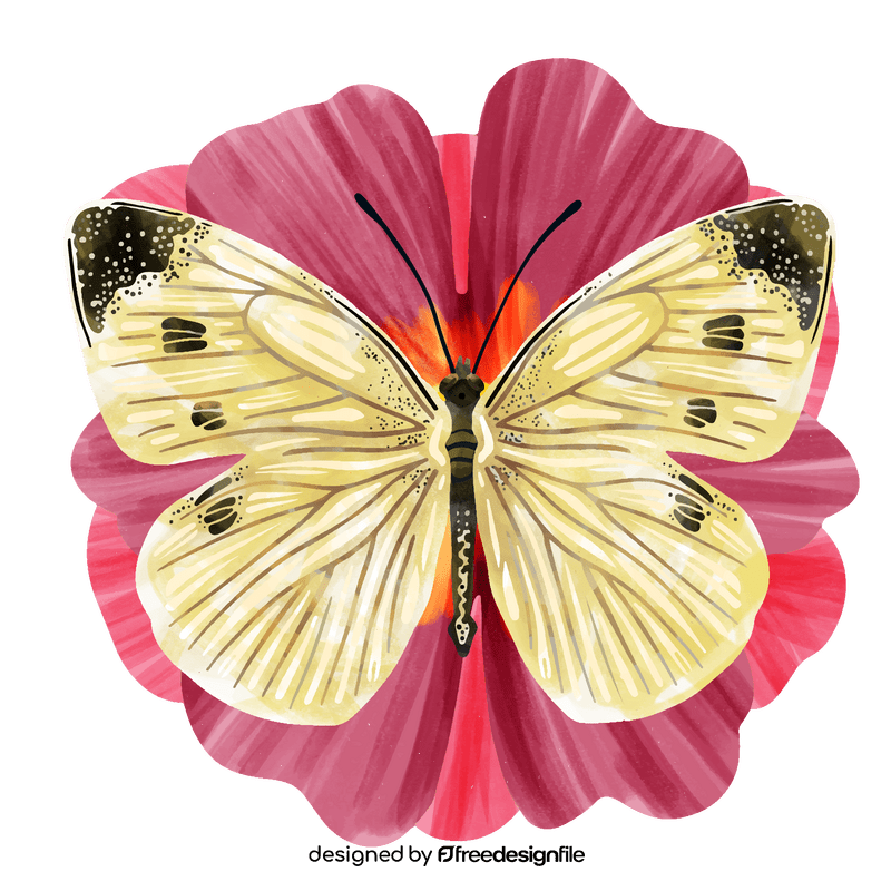 Cabbage white butterfly vector