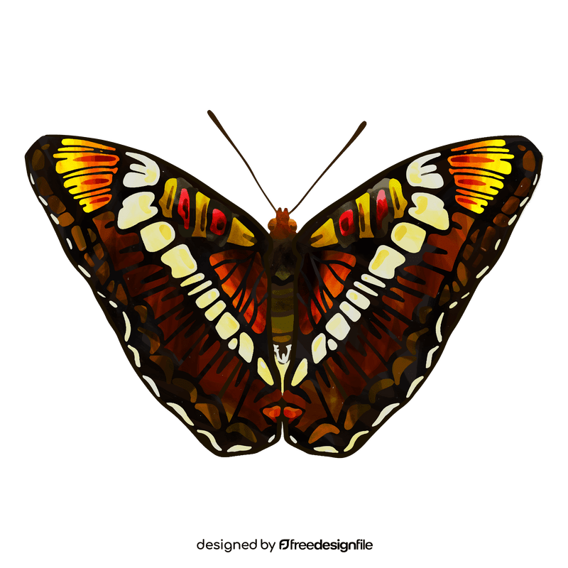 California sister butterfly clipart