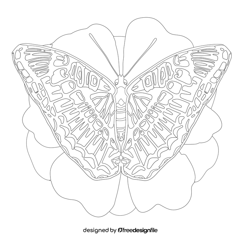 California sister butterfly drawing black and white clipart