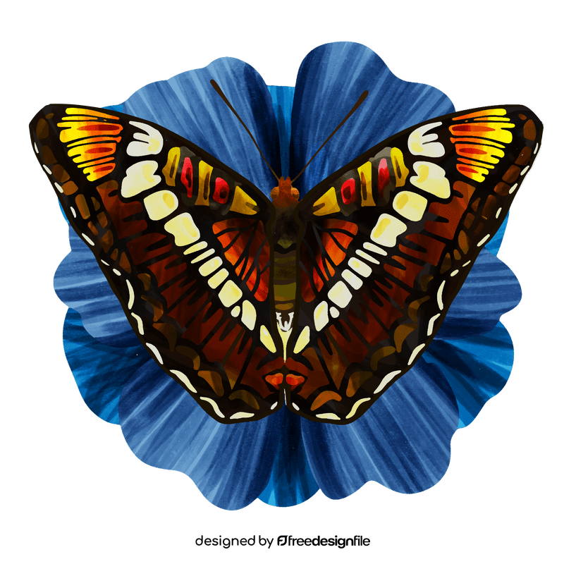 California sister butterfly vector