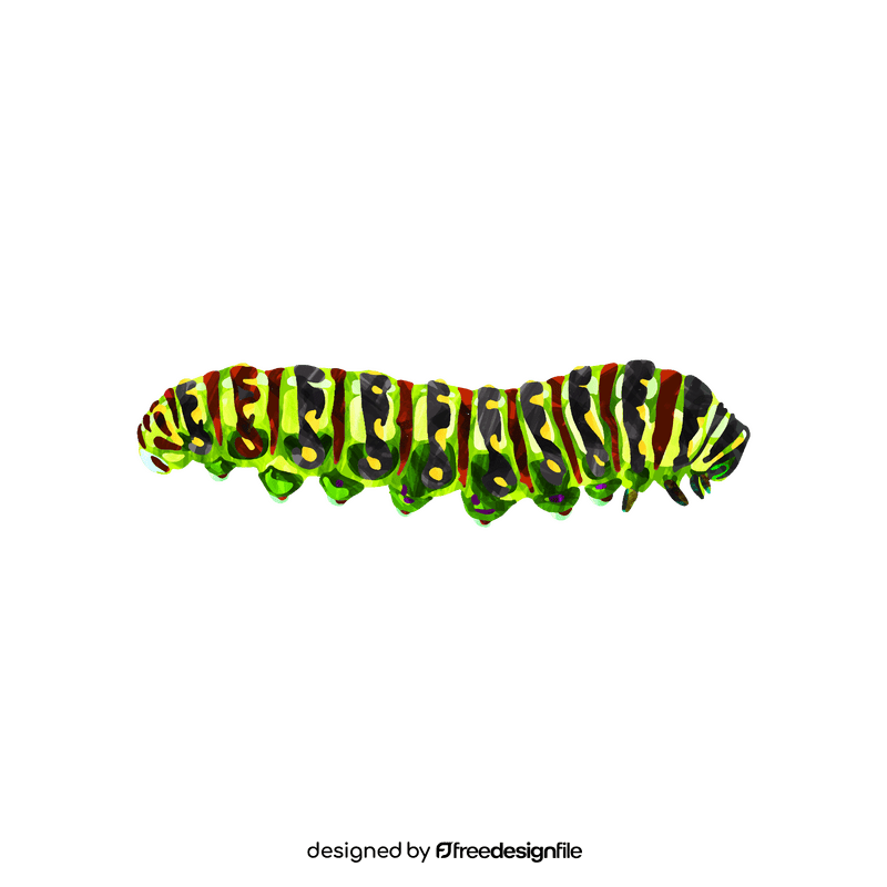 Black swallowtail caterpillar clipart