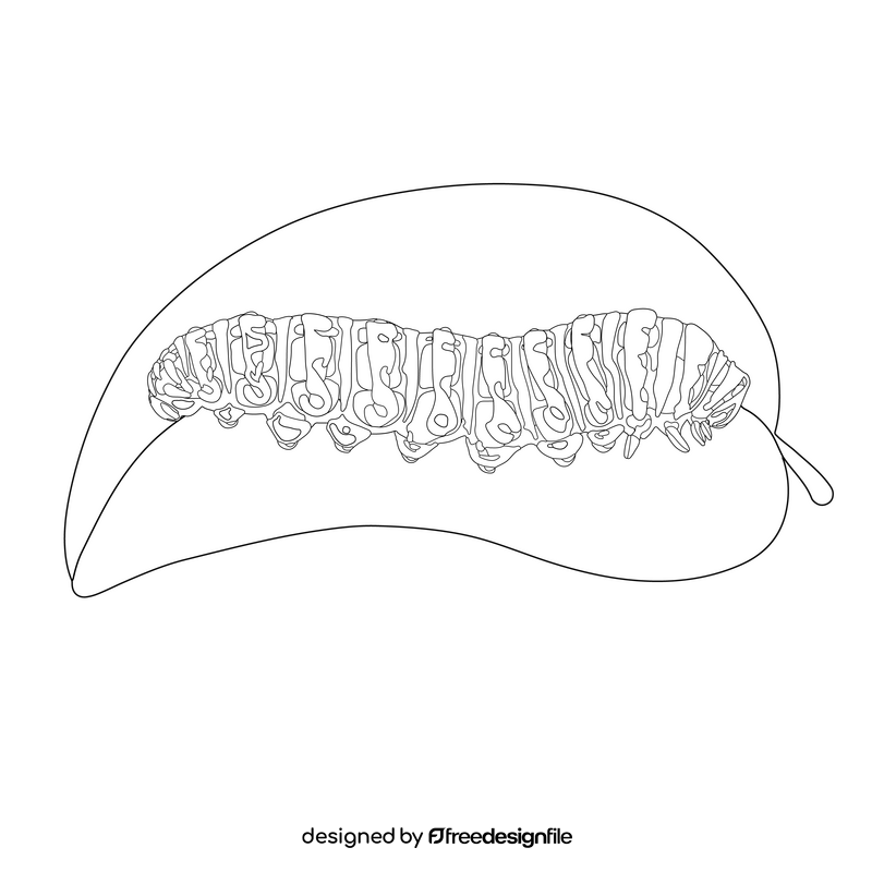 Black swallowtail caterpillar drawing black and white clipart