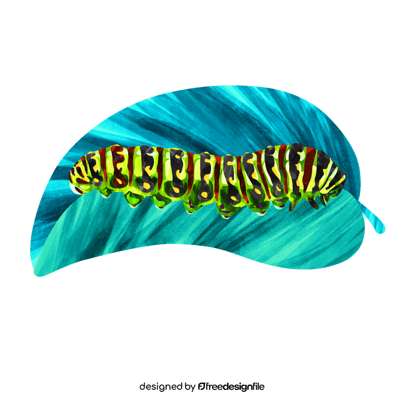 Black swallowtail caterpillar vector