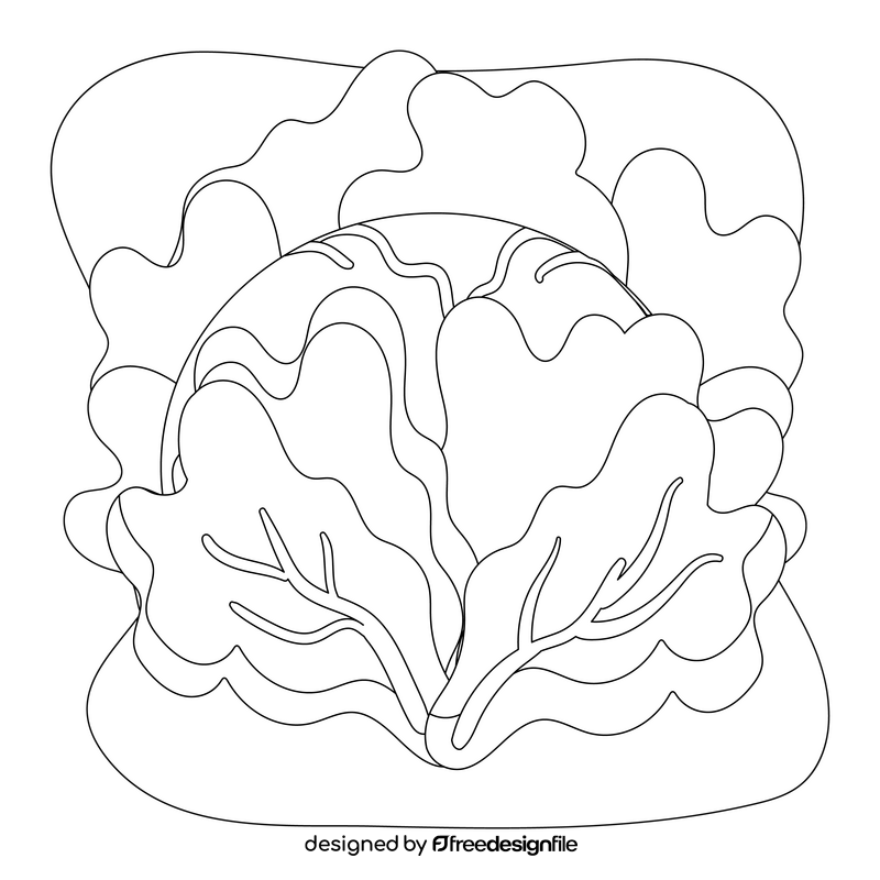 Red cabbage drawing black and white clipart