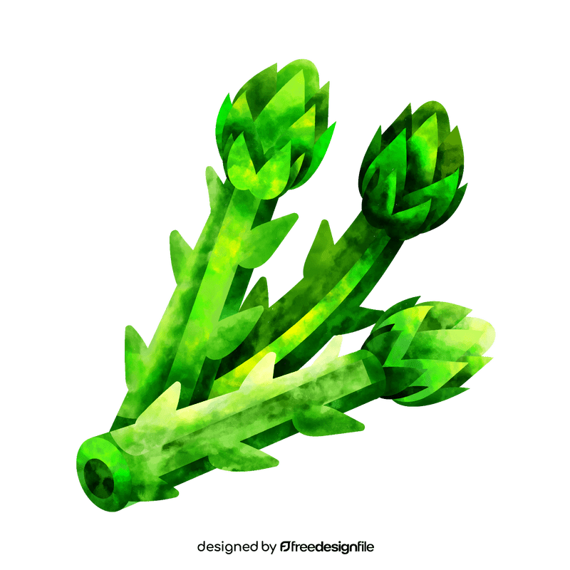 Asparagus clipart