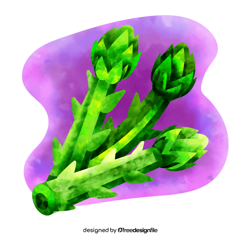 Asparagus vector