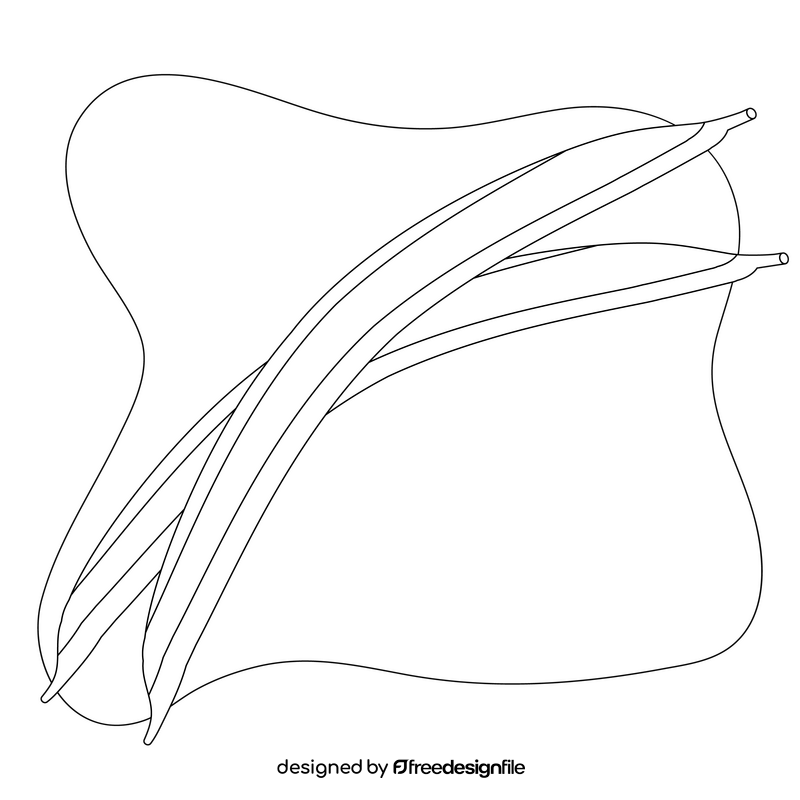 Green bean drawing black and white clipart