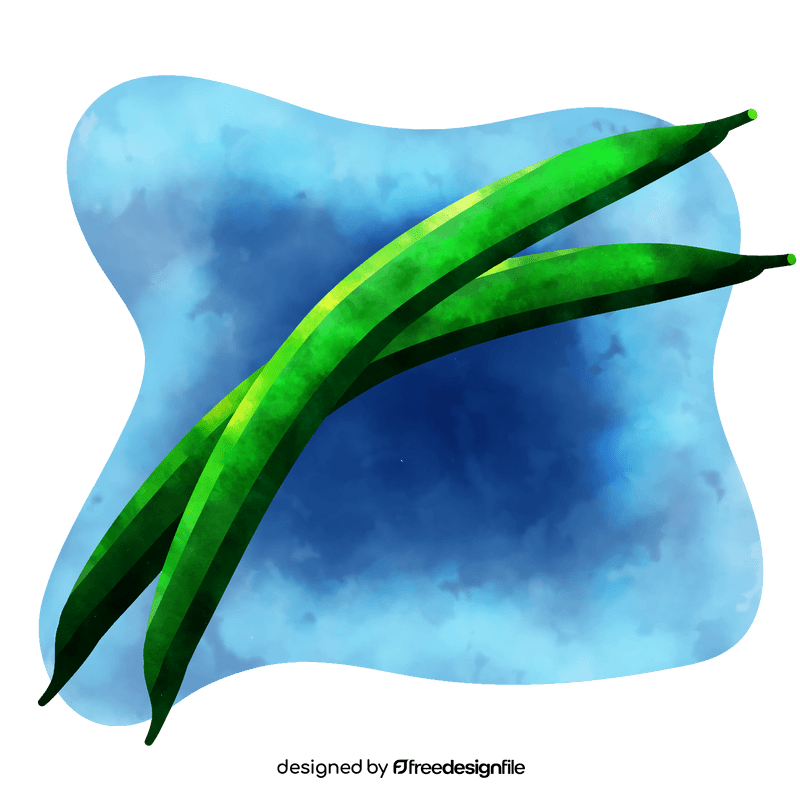 Green bean vector