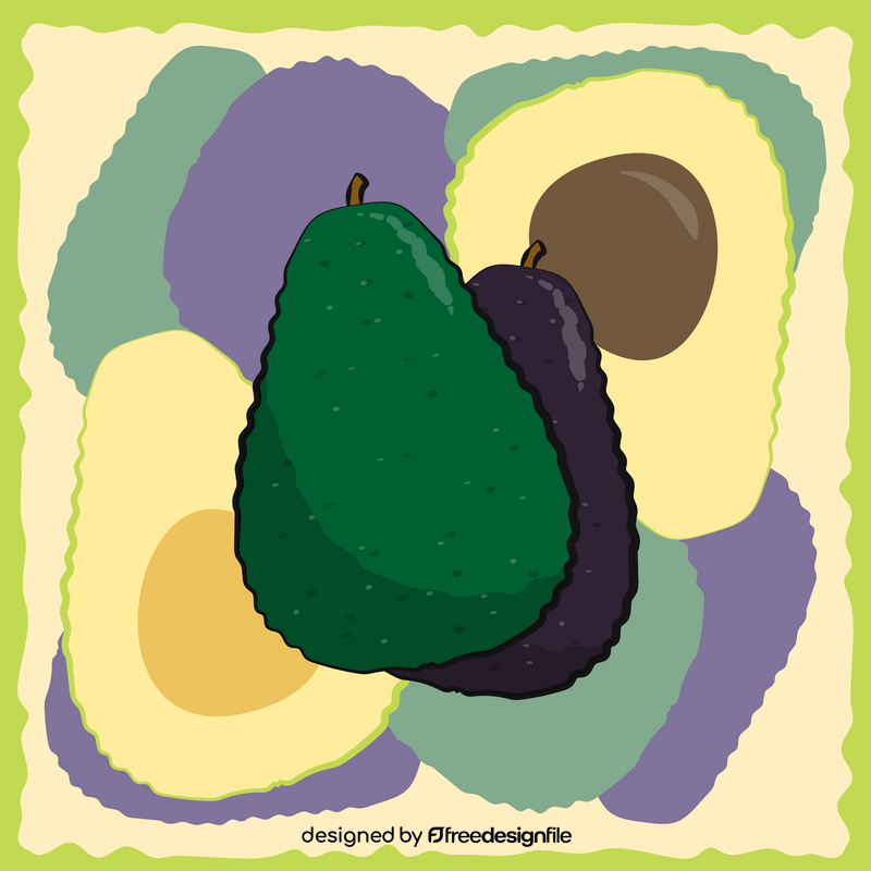 Avocado fruit vector