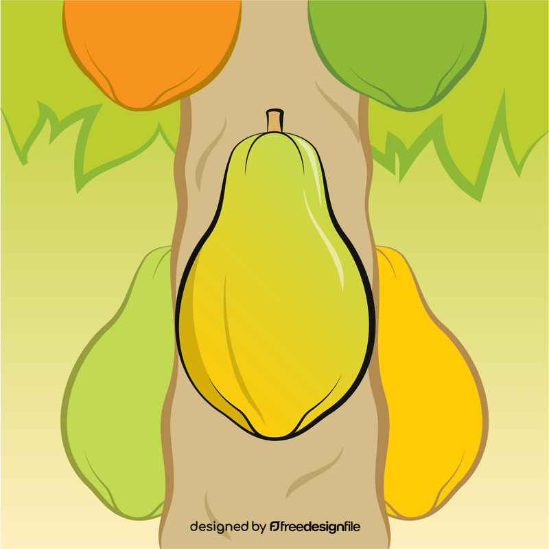 Papaya fruit drawing vector